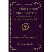 Four Boys in the Land of Cotton: Where They Went, What They Saw