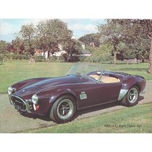 1966 A. C. FORD COBRA 427 Car : Original Vintage 1975 Magazine Picture