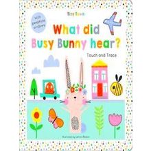What Did Busy Bunny Hear