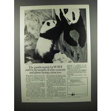 1983 WWF World Wildlife Foundation Ad - Panda