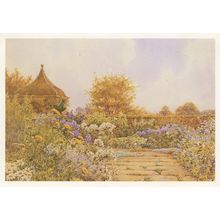 Hotel Belvedere Locarno Switzerland Painting Postcard