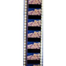 Pokemon . Pk VVE - C075w . 1 STRIP OF 5 - 35MM FILM CELLS