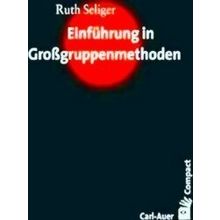Einfuhrung In Grossgruppenmethoden