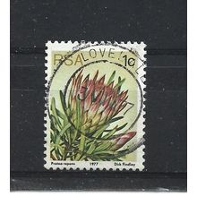 SouthAfrica.SG414 1c Protea Repens.Fine Used.Sep25b