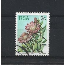 SouthAfrica.SG415 2c Protea Punctata.Fine Used.Sep25p