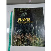 plants basic concepts in botany by watson laetsch 1979 hardback