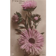 A Greeting To My Friend Aster Greek Name Antique WW1 Postcard