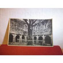 TREE CLOISTERS, MUCKROSS ABBEY, KILLARNEY, CO. KERRY, IRELAND unused postcard =