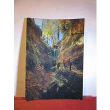SHANKLIN CHINE, Isle of Wight used postcard by J Arthur Dixon =