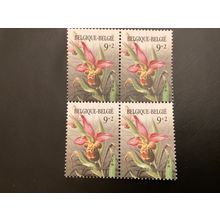 ICOLLECTZONE Belgium B1060 block flowers VF NH orchids