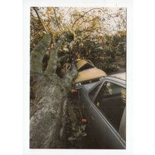1987 Hurricane Car Wrecked in Westcliff Postcard Essex F