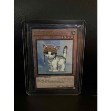 Rescue Cat - RA02-EN001 - Prismatic Ultimate Rare - 1st Edition 25th Anniversary