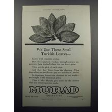 1909 Murad Cigarette Ad - We Use Small Turkish Leaves