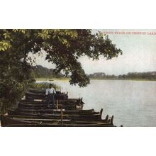 Landing Stage On Frinton Lake Old Norfolk Postcard