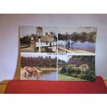 multiview, NEW FOREST, HAMPSHIRE unused postcard Michael J Allen 1990 =