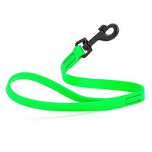Dog Pet Waterproof Leash - W3/4" x L2' - Tropical Green