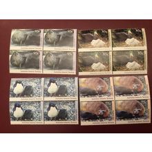 ICOLLECTZONE Australia Antarctica Territory L83-86 Block VF NH
