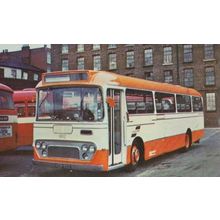 Selnec Cheshire 1963 Leyland Leopard Stockport 952 Bus Vintage Photo Postcard