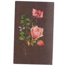 ROSES, flowers unused vintage postcard with BRITISH BORNEO stamped on back #