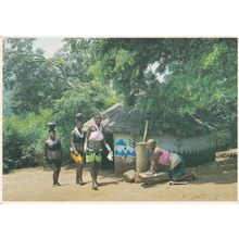 Zulu Women African Postcard