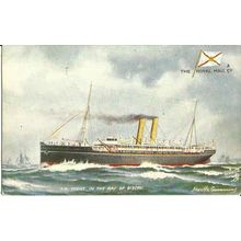 Royal Mail SP Co. SS TRENT Tuck Oilette Postcard (9151)