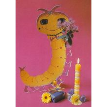 German Caterpillar With Flowers Centipede Giant Toy Germany Postcard