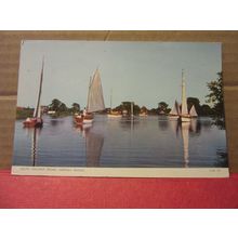 SOUTH WALSHAM BROAD, NORFOLK BROADS unused postcard RP by Jarrold #