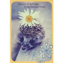 Happiest of Birthday's To My Fabulous Friend - 06324