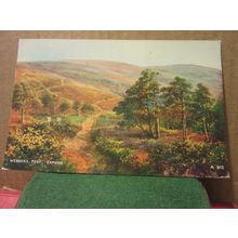 WEBBER'S POST, EXMOOR, Somerset used postcard by Bamforth 1982 postmark =