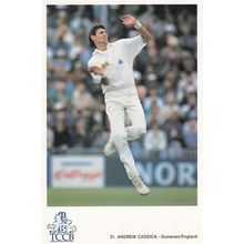 Andrew Caddick Somerset English International Cricket Player Postcard