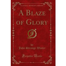 A Blaze of Glory (Classic Reprint)