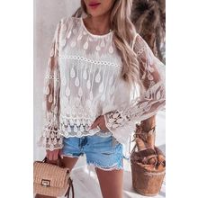 Beige Embroidered Mesh Flounce Sleeve Blouse