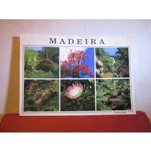 multiview, FUNCHAL, MADEIRA, PORTUGAL used postcard 2001? pm =