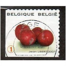 BEL 2007 (52c)(S/A) 'FRUIT- CHERRIES' FINE USED (EBID10396)