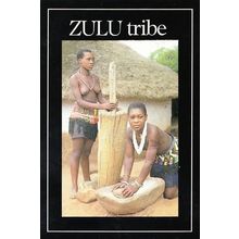 Zulu Tribe Hut Maidens Farm Farming Grazing Maize Africa African Tribal Postcard