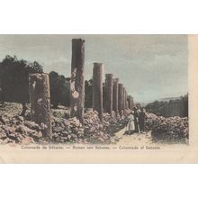 Colonnade de Sebaste Israel Antique Italian Colour Postcard