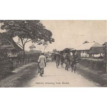 African Senegal Natives Returning From The Market Antique Postcard