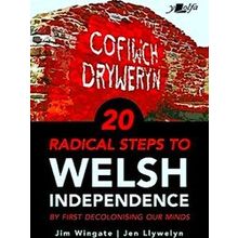 Welsh Independence: 20 Practical Steps