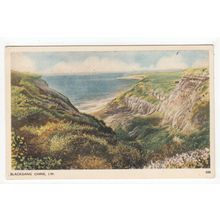 Blackgang Chine Isle of Wight Postcard 500
