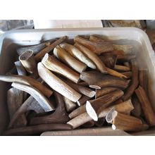 ANTLER CHEWS 3"X 3 PACK FOR THE TOY SIZE DOG OR SMALL PUP