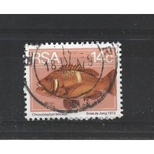 SouthAfrica.SG357 14c Roman Seabream.Fine Used.Sep25j