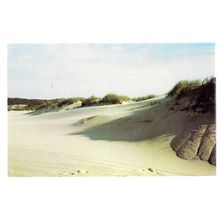 SAND DUNES, CAPE COD, MASSACHUSETTS, USA unused vintage postcard