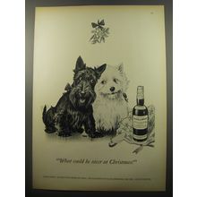 1950 Black & White Scotch Ad - What could be nicer at Christmas?
