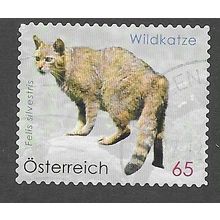 AUT 2010 65c (S/A) 'FAUNA -WILD CAT ' FINE USED (EBID73-374)