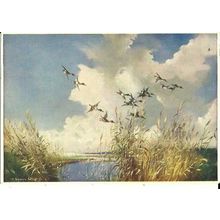 Art VERNON WARD Shovelers Coming Inland Postcard (Medici 1274)