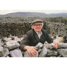 Elderly Farmer with Ribblehead Sheep Yorkshire Dales Postcard