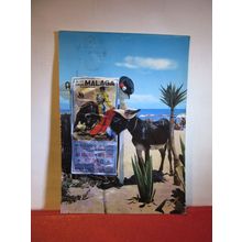 DONKEY, BEACH, COSTA DEL SOL , SPAIN used postcard 1964 pm =