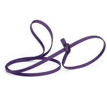 Dog Pet Waterproof Slip Lead - W3/8" x L5' - Violet Purple