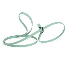 Dog Pet Waterproof Slip Lead - W3/8" x L5' - Sage Green