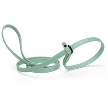 Dog Pet Waterproof Slip Lead - W5/8" x L5' - Sage Green